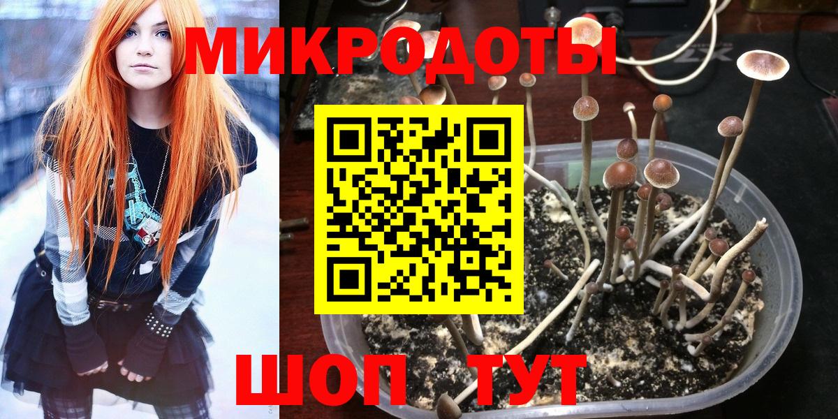 Галлюциногенные грибы мицелий  продажа наркотиков  Воскресенск  Псилоцибиновые грибы ЛСД  Вход с VPN 
