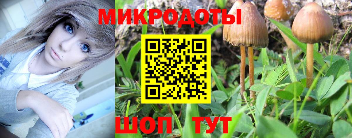 ГАШ Воскресенск